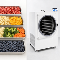 SJ-30H Commerciële Vriesdroogmachine 30-45kg Batch Automatisch Energiebesparend 220V/380V SUS304 PLC-gestuurd Mango Groente