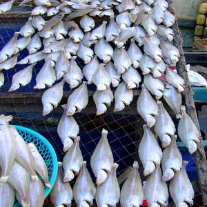 สินค้าอาหารทะเลพร้อมส่งออก ปลาหนังแช่แข็งที่ผ่านการทำความสะอาดและแปรรูปแล้ว บรรจุภัณฑ์แบบกล่องอย่างปลอดภัยสำหรับผู้ซื้อ - Product Image 3