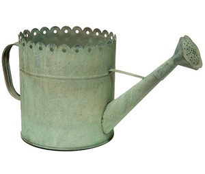 Regadera profesional de metal para jardín, para uso en jardinería, con boquilla larga y construcción resistente, duradera y a prueba de óxido. - Product Image 1