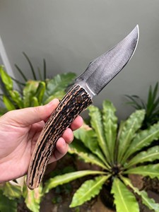 Cuchillo Plegable SHARP POINT TRADES con Hoja de Acero Inoxidable de 0.5mm de Grosor, Mango de Madera y Apertura con Perilla, 6.7 pulgadas - Product Image 2