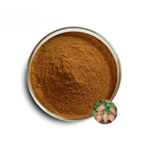 Poudre d'Epimedium 100% naturelle, poudre de plante de chèvre cornée, qualité alimentaire, pure, à base de plantes, améliore l'énergie et la concentration cérébrales - Product Image 1