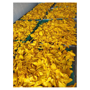 สินค้าขายดี |   มะม่วงอบแห้งเนื้อนุ่ม พรีเมียม ผลไม้เมืองร้อน ขนมขบเคี้ยวสำหรับอาหารประจำวัน ขนมอบ ของหวาน ขายส่งจากเวียดนาม - Product Image 1
