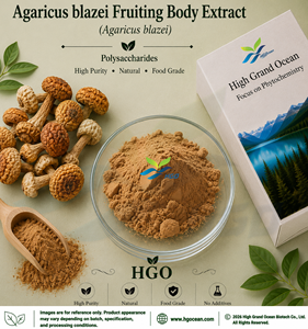 Suministro Directo de Fábrica HGO de Extracto de Cuerpo Fructífero de Agaricus blazei, Polisacáridos de Grado Alimenticio, Extracto Estandarizado al 30% 50% - Product Image 1