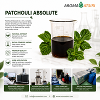 Absolue de Patchouli Indonésien Authentique - 100% Pure, Distillée à la Vapeur, Arôme Boisé, Herbacé et Sucré Riche pour Parfums de Haute Qualité