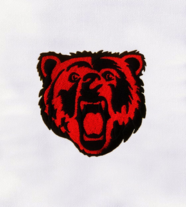 Parches Bordados Personalizados con Revestimiento de Velcro para Coser o Planchar, Insignia de Logotipo de Alta Calidad para Ropa, Gorras, Chaquetas y Uniformes - Product Image 6