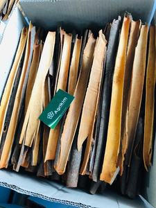 No 1 <b>Best</b> Price Premium Vietnamese Cassia Chip/Cinnamon Chips/Broken Cassia Dried Import Export 8cm 10cm 30cm +84359169566 - Product Image 6