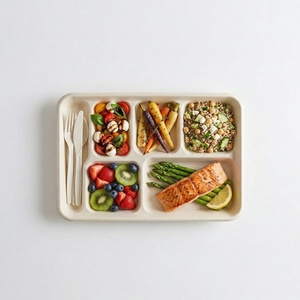 Assiettes carrées en bagasse à 6 compartiments durables, compostables, assiettes à repas divisées, assiettes à déjeuner, assiettes à collations, micro-ondes - Product Image 1