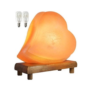 Lámpara de Sal del Himalaya 100% Natural, Tallada a Mano, Ecológica, con Forma de Planta, Logotipo y Tamaño Personalizados, Decoración Moderna para el Hogar Europeo - Product Image 1