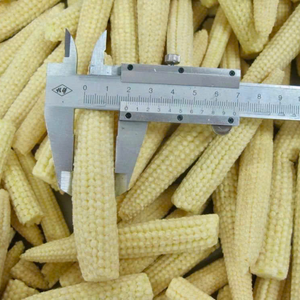 ข้าวโพดหวานธรรมชาติในน้ำเกลือ รับทำฉลากตามสั่ง - Product Image 4