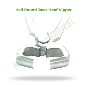 Pince à sabots demi-ronde 12 pouces 30CM, instrument vétérinaire pour ferme, outil de coupe de sabots pour animaux de ferme - Product Image 2
