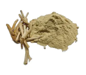 Organic Shatavari Root Powder (Asparagus racemosus) Wholesale Pure Ayurvedic Herbal <b>Extract</b> for Hormone Support Immunity Booster - Product Image 2