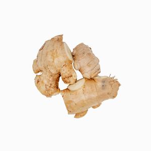 Raíces de jengibre orgánico fresco, suministro a granel, aroma intenso, alta pureza y frescura de cultivo, cuidadosamente empaquetadas - Product Image 6