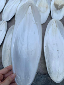 Seiche séchée entière 20-40cm, haute teneur en protéines, fruits de mer en vrac, qualité supérieure, origine Vietnam Ba Ria-Vung Tau, riches en vitamines, durée de conservation 2 ans, 99GD - Product Image 3