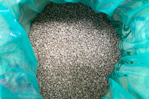 Café Vert Robusta du Vietnam, Exportation en Gros, Récolte Actuelle, Humidité 12-14%, Stockage à Froid et Sec, Durée de Conservation 24 Mois - Product Image 2