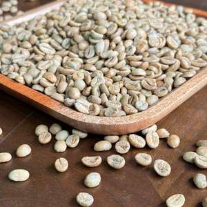 Green Robusta เมล็ดกาแฟเกรดพรีเมี่ยม50กก. จากเวียดนาม (กาแฟ Sinh Nguyen) (WhatsApp + 84 97 876 54 56) - Product Image 3