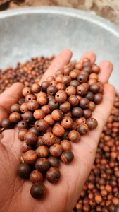 <b>Wood</b> Round Beads <b>Jewellery</b> Home Decor Beads FAIZA CRAFT FC-8416 Multi Color - Product Image 5