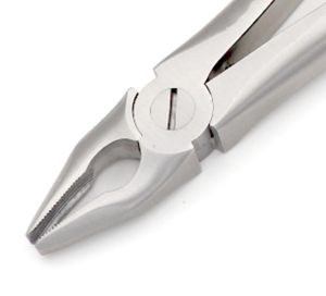 Forceps d'extraction atraumatique 34N 3,5 mm pour incisives et canines de la mâchoire supérieure, à prise parallèle, finition mate, en acier inoxydable chirurgical dentaire - Product Image 2