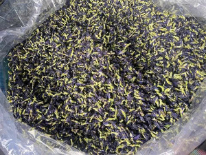 Fleurs de pois papillon entières séchées pour les salons de thé gastronomiques, les mélanges de boissons et les desserts floraux - Product Image 2