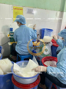 Nata de Coco en Jarabe de Todos los Tamaños, Gelatina de Coco Cruda, Nata de Coco en Envases a Granel de Takimex, 10 kg por Caja, Hecho en Vietnam - Product Image 6