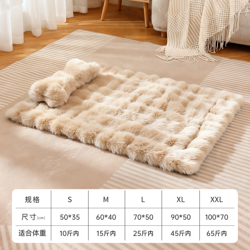 แอปริคอท