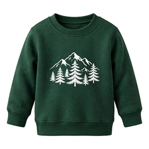 Sweat-shirt à manches longues pour garçons fabriqué en usine, col rond, avec poche, en mélange de coton, décontracté, pour l'automne et l'hiver, exporté du Bangladesh - Product Image 2