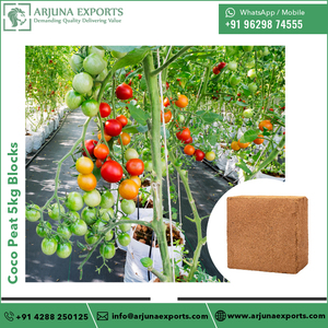 Au prix de vente complet pith de coco naturel ou tourbe de coco blocs de 5kg pour la plantation de cultures de concombre - Product Image 5