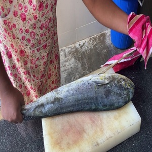 Prix de gros pour le mahi-mahi entier congelé, pour une approvisionnement fiable en fruits de mer, avec une texture et un goût excellents et une utilisation polyvalente. - Product Image 6