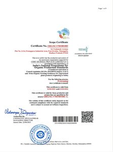 Aceite de Semilla de Borraja Orgánico, Borago Officinalis, Prensado en Frío - Certificado Orgánico por el USDA - Proveedor y Exportador a Granel de la India - Product Image 6