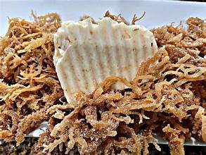 2024 Mousse de mer naturelle des fournisseurs vietnamiens Meilleur prix et qualité Algues séchées et fraîches Nori Export Hot - Product Image 2