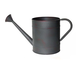 Arrosoir en fer de qualité supérieure pour l'arrosage des plantes d'intérieur et d'extérieur et la décoration du jardin - Product Image 3