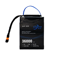 Batería de Iones de Litio Recargable XINGTO Inteligente de Estado Semisólido 12S 36000mah 44.4V 10C de Alta Densidad Energética con BMS para Drones UAV