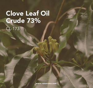 น้ำมันหอมระเหยใบกานพลูบริสุทธิ์ 73% (CL-173) วาน อโรมา - Product Image 2