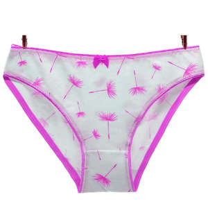 Ropa Interior Sexy para Mujer, Transparente, Tallas Grandes, Alta Calidad, Colorida, Personalizada para Chicas Jóvenes - Product Image 5