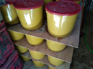 แมงกะพรุนแช่แข็งแบบมีเกลือ เกรดสะอาดพิเศษ ธรรมชาติจากทะเล เหมาะสำหรับความต้องการทั่วโลก เนื้อสัมผัสสดใหม่ คุณภาพเยี่ยม อัล ทาวาคัล เอฟเอฟ - Product Image 3