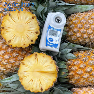 Ananas Queen en gros, fruits frais du Vietnam, taille uniforme, emballage professionnel, partenaire de la chaîne d'approvisionnement mondiale, OEM - Product Image 6