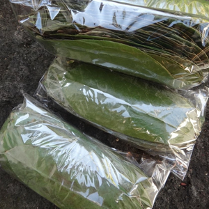 Hojas de guanábana puras y secas para té de hierbas, origen Vietnam, para envasado ecológico y preparaciones diarias de 99 Gold Data - Product Image 5