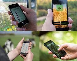 Aplicación móvil de gestión agrícola inteligente para la monitorización de cultivos, el seguimiento de ganado, actualizaciones meteorológicas y operaciones agrícolas. - Product Image 3