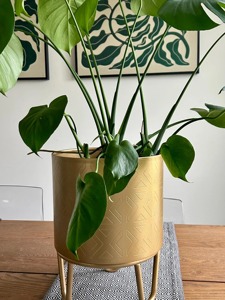 Stylish Gold Planter Pot With Stand Suitable For Home Decor Tabletop Plant Office <b>Display</b> And Interior Styling From India - Product Image 6