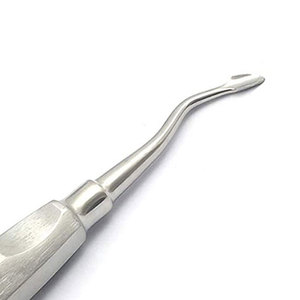 เครื่องมือถอนฟันแบบตรงปลายโค้งเว้า ยี่ห้อพรีเมียม เอ็ม.เอ. ซิดดิค อินเตอร์เนชั่นแนล ผลิตจากเหล็กกล้าไร้สนิมเยอรมัน - Product Image 4