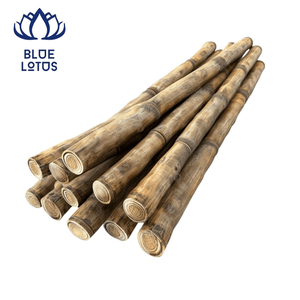 Pôles en bambou de haute qualité, les plus vendus, écologiques, pour le soutien des plantes agricoles, Vietnam - Product Image 1