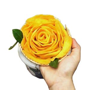 ผลไม้เขตร้อนอบแห้งรสหวานธรรมชาติเกรดพรีเมี่ยมจากเวียดนามขายส่ง - Product Image 1