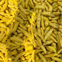 Doigts de curcuma 100 % pur de qualité supérieure, entiers, séchés, polis, jaune vif, emballage en vrac, durée de conservation de 24 mois pour les marchés américain et britannique