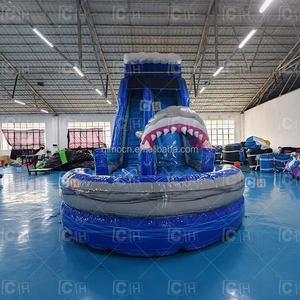 Scivolo d'Acqua Gonfiabile Commerciale a Tema Squalo con Doppia Corsia e Piscina <span class=keywords><strong>per</strong></span> Parchi Acquatici e Feste Estive in Giardino - Product Image 2