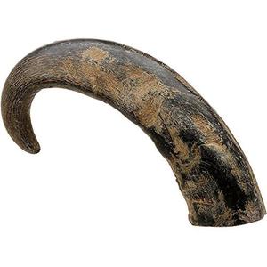 Nock de Cuerno de Búfalo Natural Hecho a Mano, Pulido, Tamaño Pequeño, Color Natural, en Venta - Product Image 5