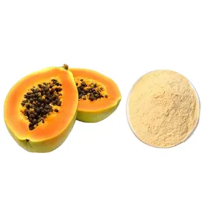 以最佳市场价格独家销售最佳质量定制品牌ISO认证有机木瓜提取物粉