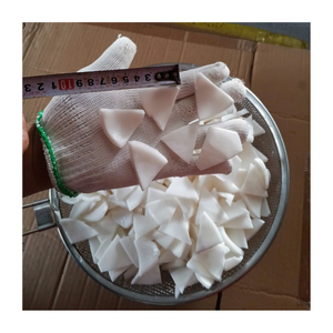 ผู้จัดจำหน่ายมะพร้าวอบแห้งแบบนุ่ม พร้อมบริการบรรจุภัณฑ์ OEM ที่ยืดหยุ่นได้ และคุณภาพส่งออกที่สม่ำเสมอ - Product Image 4