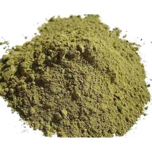 Poudre d'Ocimum Sanctum de Qualité Supérieure, Matière Première Standardisée pour Formules Ayurvédiques, Vente en Gros - Product Image 3