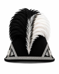 Professional Hackles Best Selling Premium Feather Collection with Custom Branding OEM Service Wholesale Manufacturer Solutions - Product Image 3