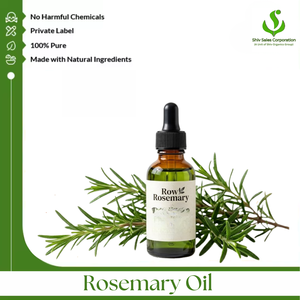 Fournisseur d'huile essentielle de romarin fraîche de qualité supérieure, offrant des options d'emballage industriel et d'exportation pour les cosmétiques, les soins personnels et les produits capillaires - Product Image 1