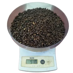 4.8 $/kg de poivre noir du Vietnam échantillons gratuits poudre d'assaisonnement contacter whatsapp Mr.Tony + 84 938 736 924 pour l'exportation de nous